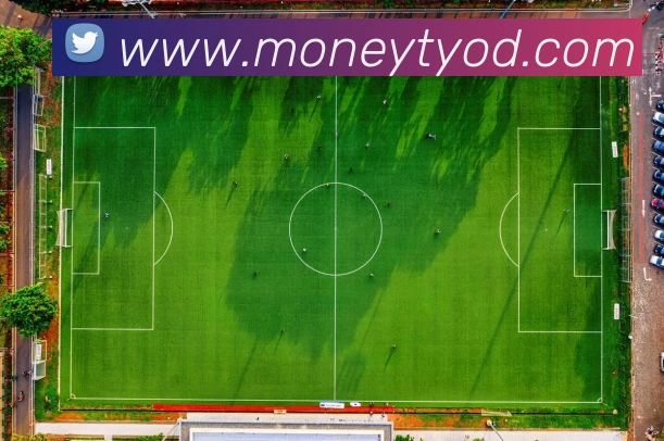 未来规划